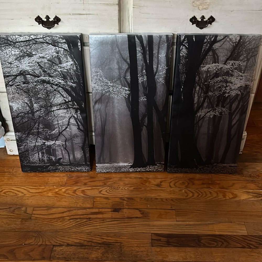 Black Forest pictures